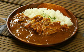 【ふるさと納税】紀の国仕立てカレー【ポーク】10個セット（A1020-1）