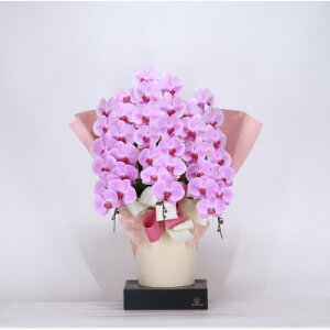 yӂ邳Ɣ[ŁztHAXPREMIUMӒ3{39ֈȏ sN (A1031-2)