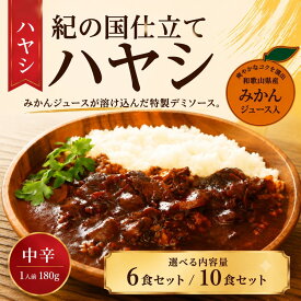 【ふるさと納税】選べる内容量 紀の国仕立て ハヤシ 6食・10食 1人前180g ｜ レトルト ハヤシ 牛肉 ビーフ 簡単調理 時短 お手軽