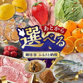 【ふるさと納税】あとからセレクト【ふるさとギフト】寄附20万円相当