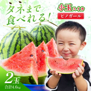 yӂ邳Ɣ[ŁzIєIʂ smK[ 2L 2ʁss\t2026N6{珇\y zsnFkCEEz