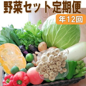 【ふるさと納税】定期便 旬の新鮮野菜セットA【毎月お届け12回】たっぷり15品以上