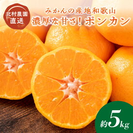 【ふるさと納税】濃厚な甘さ！ポンカン5kg みかんの産地和歌山の農園直送《先行予約》 ぽんかん みかん フルーツ くだもの 果物 5キロ 数量限定 送料無料 ふるさと納税 ポンカン