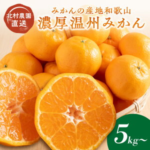 �y�ӂ邳�Ɣ[�Łz�Z�����B�݂���5kg 10kg�i�a�̎R�V�c�݂���j�݂���̎Y�n�a�̎R�@�k���_�������s��s�\��t �ӂ邳�Ɣ[�� �݂��� 5�L�� 10�L�� �t���[�c �������� �ʕ� ���ʌ��� ���Ԍ��� 