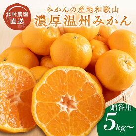 【ふるさと納税】濃厚温州みかん5kg 7.5kg（和歌山天田みかん）みかんの産地和歌山 北村農園直送《先行予約》 ふるさと納税 みかん 5キロ 7.5キロ フルーツ くだもの 果物 数量限定 期間限定 送料無料