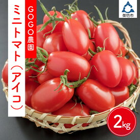 【ふるさと納税】ミニトマト（アイコ）2kg≪先行予約2026年12月より順次発送予定≫