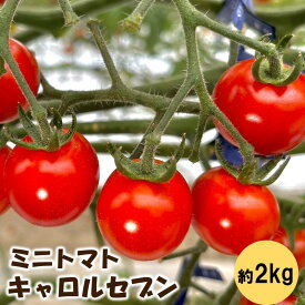 【ふるさと納税】ミニトマト（キャロルセブン）2kg≪先行予約2026年12月より順次発送予定≫
