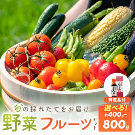 【ふるさと納税】季節の野菜・果物・特産品お楽しみ詰め合わせセット 約400g 約800g