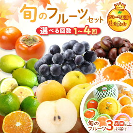 【ふるさと納税】フルーツ王国和歌山のフルーツセット 1回 2回 4回 定期便 ふるさと納税 フルーツセット ふるさと納税 くだもの ふるさと納税 果物 ふるさと納税 フルーツ ふるさと納税 フルーツ詰め合わせ お楽しみ 送料無料