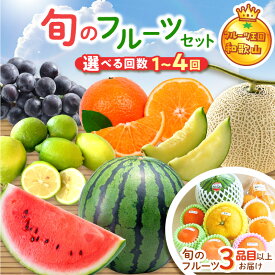 【ふるさと納税】フルーツ王国和歌山のフルーツセット 1回 2回 4回 定期便 ふるさと納税 フルーツセット ふるさと納税 くだもの ふるさと納税 果物 ふるさと納税 フルーツ ふるさと納税 フルーツ詰め合わせ お楽しみ 送料無料