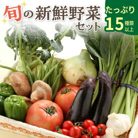 【ふるさと納税】旬の新鮮野菜セットたっぷり15種以上 野菜 旬の野菜 セット 詰合せ お野菜 送料無料 ふるさと納税 野菜