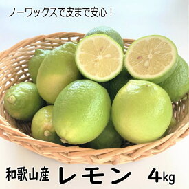 【ふるさと納税】和歌山産レモン/グリーンレモン 4kg【国産レモン】《先行予約》