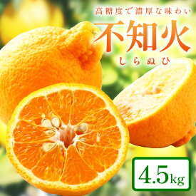 【ふるさと納税】和歌山産 しらぬひ【デコポン】約4.5kg 濃厚春みかん≪2026年2月下旬頃より順次発送分≫