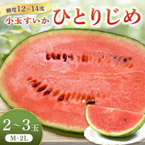 yӂ邳Ɣ[Łzsʌtʂ(ЂƂ肶)2`3 a̎RYss\ty2026N6{珇\z ӂ邳Ɣ[  ӂ邳Ɣ[ Z ӂ邳Ɣ[ XCJ t