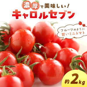 yӂ邳Ɣ[Łz~jg}g LZu 2kgya̎RYzss\t ӂ邳Ɣ[ ~jg}g ӂ邳Ɣ[ g}g \ s\  2L