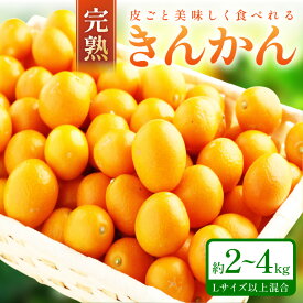 【ふるさと納税】完熟きんかん/金柑 約2kg～4kg 秀品 和歌山産≪先行予約2026年2月頃より順次発送分≫ フルーツ 果物 くだもの きんかん 柑橘 金柑 先行予約 国産 人気 おすすめ ジャム おやつ デザート