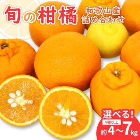 【ふるさと納税】柑橘詰め合わせセット 家庭用4種以上 和歌山産 約4kg 約7kg≪先行予約2026年1月下旬頃より順次発送分≫ ふるさと納税 みかん 果物 フルーツ