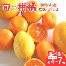 【ふるさと納税】柑橘詰め合わせセット 家庭用4種以上 和歌山産 約4kg 約7kg≪先行予約2027年1月下旬頃より順次発送分≫ ふるさと納税 みかん 果物 フルーツ