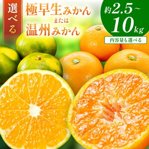 【ふるさと納税】「濃厚な味のとろける美味しさ」極早生みかん 温州みかん《先行予約》約2.5kg 約5kg 約10kg 甘酸っぱいみかん ふるさと納税 みかん 予約 2025 ふるさと納税 みかん 甘い 和歌山