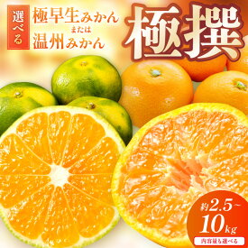 【ふるさと納税】《先行予約》みかん 極早生みかん 温州みかん「濃厚な味のとろける美味しさ」約2.5kg 約5kg 約10kg 甘酸っぱいみかん ふるさと納税 みかん 予約 ふるさと納税 蜜柑 甘い 和歌山 ミカン フルーツ 果物 くだもの 柑橘 人気 5キロ 10キロ 数量限定 期間限定