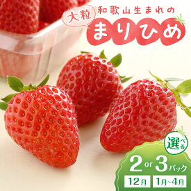【ふるさと納税】和歌山生まれのイチゴ（まりひめ）《先行予約》大粒 2パック 3パック いちご 苺 果物 フルーツ 大粒 まりひめ 期間限定 先行予約 数量限定