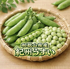 【ふるさと納税】うすい豆 紀州うすい 1kg 2kg うすいえんどう《先行予約》【2027年2月より順次発送予定】