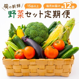 【ふるさと納税】定期便 旬の新鮮野菜セットA【毎月お届け12回】たっぷり15品以上 ふるさと納税 野菜 ふるさと納税 定期便 野菜セットふるさと納税 定期便 12回 旬の野菜 セット 定期 送料無料