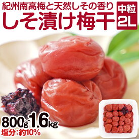 【ふるさと納税】しそ漬け梅干し(紀州南高梅)800g・1.6kg 中粒 2L 和歌山県産 梅干し 梅干 うめぼし しそ梅 しそ 送料無料 ふるさと納税 梅干し 減塩