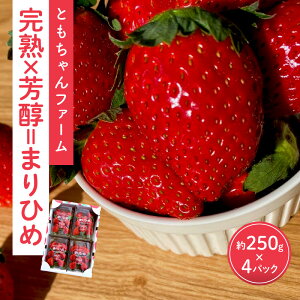 yӂ邳Ɣ[Łzun×F=܂Ђ߁v4pbNi250g×4js\2026N1{菇\yzsnFkCEEz   C`S t[c  ʕ 