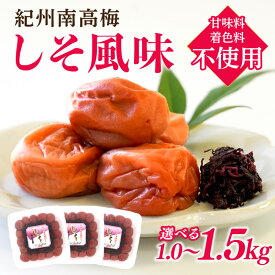 【ふるさと納税】紀州南高梅 しそ風味 1kg 1.5kg 塩分約6%