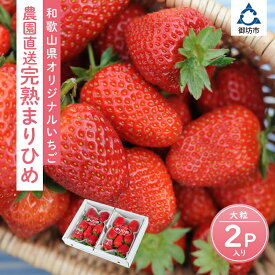 【ふるさと納税】《大粒サイズ》和歌山県オリジナルいちご『完熟まりひめ』大粒2パック《先行予約》2026年1月頃から順次発送予定【配送不可地域：北海道・青森・秋田・岩手・沖縄・離島】 いちご 予約 甘い 苺 イチゴ 大きい フルーツ 果物 旬 パック