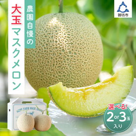【ふるさと納税】農園自慢の『マスクメロン』(アールスメロン)大玉 2玉 3玉《先行予約》2026年6月下旬から順次発送【 配送不可地域：北海道・青森・秋田・岩手・沖縄・離島】 ふるさと納税 メロン 先行予約 ふるさと納税 フルーツ 予約 マスクメロン くだもの 果物 数量限定