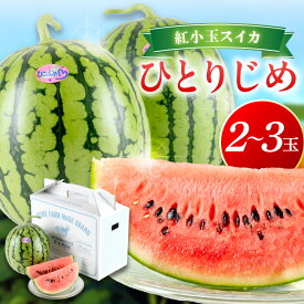 【ふるさと納税】自農園産　紅小玉スイカ「ひとりじめ」2～3玉≪先行予約≫2026年6月中旬から順次発送【 配送不可地域：北海道・青森・秋田・岩手・沖縄・離島】