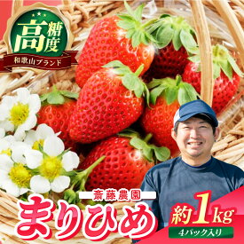 【ふるさと納税】まりひめ4パック入り約1kg「和歌山ブランドいちご」農家直送《先行予約》【配送不可地域：北海道・青森・秋田・岩手・沖縄】 いちご 苺 イチゴ フルーツ くだもの 果物 旬 パック 送料無料 ふるさと納税 予約 先行予約