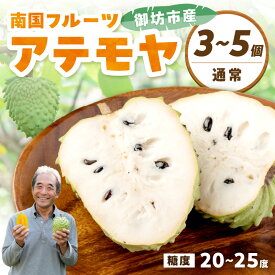 【ふるさと納税】テレビで紹介されました！御坊市産 南国フルーツ アテモヤ（1kg程度）大玉サイズ2〜3個入り 通常サイズ3〜5個入り≪先行予約≫2026年10月中旬頃から順次発送予定