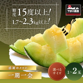 【ふるさと納税】やまの農園　感謝のメロン～一期一会「うしわか」・「べんけい」・「くらま」1玉 2玉≪先行予約≫【2026年7月中旬より順次発送予定】 フルーツ メロン マスクメロン 特大 送料無料 数量限定 予約 先行予約 ふるさと納税 メロン