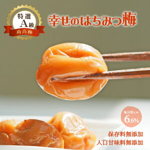 yӂ邳Ɣ[ŁzK݂̂͂~(IB썂~)700g A 嗱 3Lȏ a̎RY ߂ڂ ~ ~ 700g  ӂ邳Ɣ[ ~ ݂͂