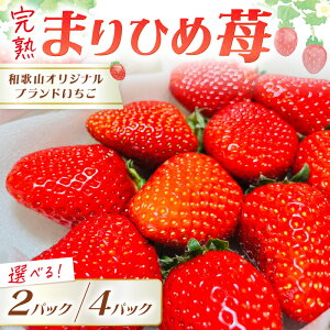 yӂ邳Ɣ[Łzya̎RIWiuhzn܂Ђ 2pbN 4pbNyzsnFkCEEzss\t