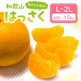 【ふるさと納税】爽やかな甘み！　和歌山はっさく 約5kg 約10kg ≪先行予約2026年3月頃より順次発送予定分≫ みかん 蜜柑 フルーツ 果物 期間限定 先行予約 ふるさと納税 はっさく 八朔