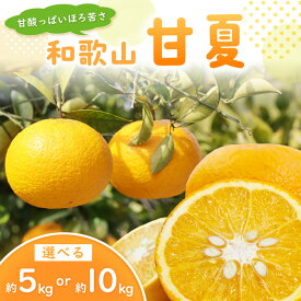 【ふるさと納税】甘酸っぱいほろ苦さ　和歌山甘夏 約5kg～約10kg ≪先行予約2026年3月頃より順次発送分≫ 5kg 10kg ふるさと納税 みかん 蜜柑 柑橘 甘夏 あまなつ フルーツ 果物 デザート 和歌山