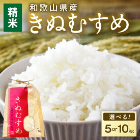 【ふるさと納税】令和7年産 和歌山県産 「きぬむすめ」 精米 5kg 10kg