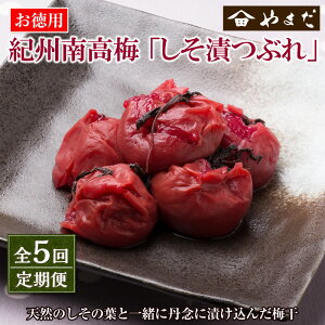 yӂ邳Ɣ[Łzy5zIB썂~ЂԂ(15)