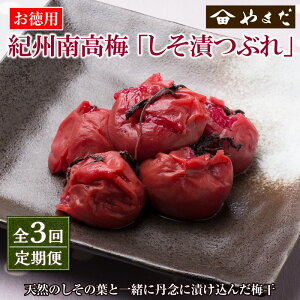 yӂ邳Ɣ[Łzy3zIB썂~ЂԂ(15)
