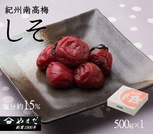 yӂ邳Ɣ[ŁzIB썂~ 15i500gj