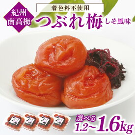 【ふるさと納税】紀州南高梅つぶれ梅　しそ風味 1.2kg 1.6kg ふるさと納税 梅干し ふるさと納税 うめぼし つぶれ梅 南高梅 しそ風味 梅 パック 小分け