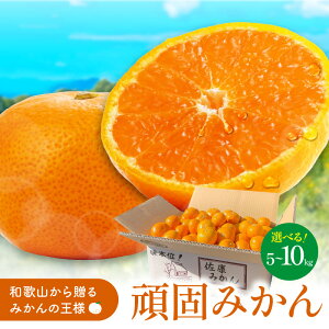 yӂ邳Ɣ[Łza̎RVĉł݂ 5kg 10kg