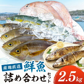 【ふるさと納税】御坊産　鮮魚セット2.5kg 鮮魚 天然 詰め合わせ 朝どれ 冷蔵 新鮮 アジ サバ タチウオ 太刀魚 タイ 漁港 和歌山県産 御坊産 送料無料 発送時期が選べる