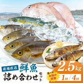 【ふるさと納税】御坊産 鮮魚セット2.5kg 1回 4回 定期便【配送不可地域】沖縄・北海道・東北・九州 天然 詰め合わせ 朝どれ 冷蔵 新鮮 アジ サバ タチウオ 太刀魚 タイ 漁港 和歌山県産 御坊産 送料無料 発送時期が選べる