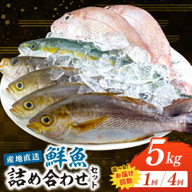 【ふるさと納税】御坊産 鮮魚セット5kg 1回 4回 定期便 【配送不可地域】沖縄・北海道・東北・九州 天然 詰め合わせ 朝どれ 冷蔵 新鮮 アジ サバ タチウオ 太刀魚 タイ 漁港 和歌山県産 御坊産 送料無料 発送時期が選べる