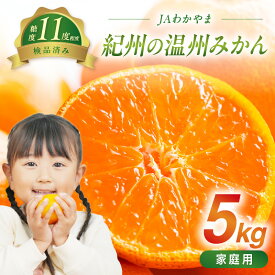 【ふるさと納税】JAわかやま　紀州の温州みかん（家庭用）5kg